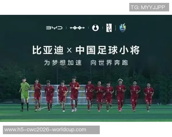 足球小将国语版世界杯热血重燃少年梦想与激情的完美结合